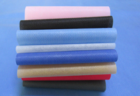 板芙镇涤纶（PET）无纺布是什么